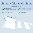 Kit Removedor de Manchas Miss Mouth's Spray + Brindes