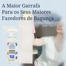 Kit Removedor de Manchas Miss Mouth's Spray + Brindes